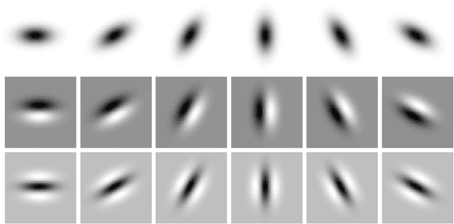 Figure 3 for Covariance properties under natural image transformations for the generalized Gaussian derivative model for visual receptive fields