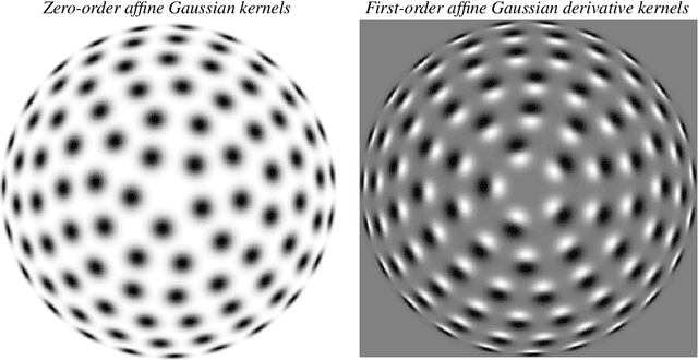Figure 4 for Covariance properties under natural image transformations for the generalized Gaussian derivative model for visual receptive fields