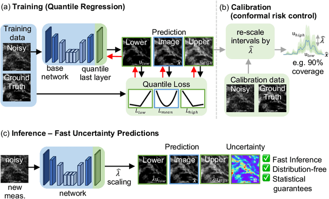 Figure 3 for Learned, Uncertainty-driven Adaptive Acquisition for Photon-Efficient Multiphoton Microscopy