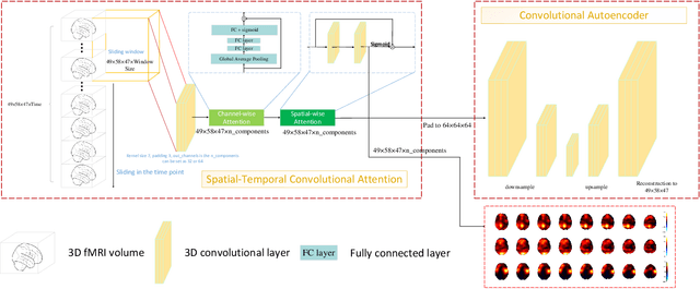 Figure 1 for Spatial-Temporal Convolutional Attention for Mapping Functional Brain Networks