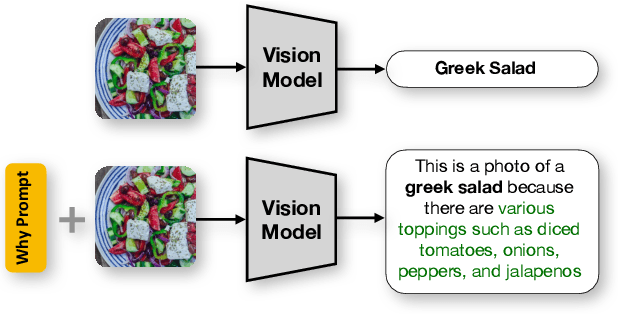 Figure 1 for Doubly Right Object Recognition: A Why Prompt for Visual Rationales