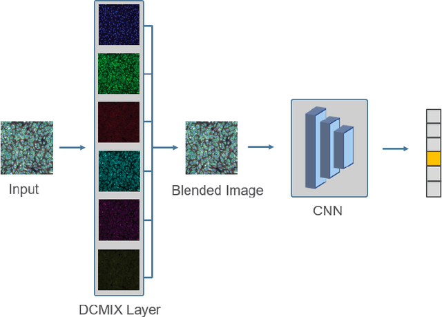 Figure 1 for Learning Channel Importance for High Content Imaging with Interpretable Deep Input Channel Mixing