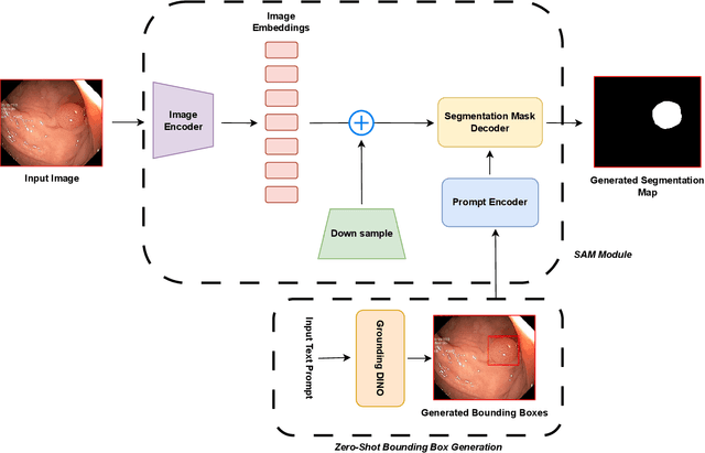 Figure 1 for Polyp-SAM++: Can A Text Guided SAM Perform Better for Polyp Segmentation?