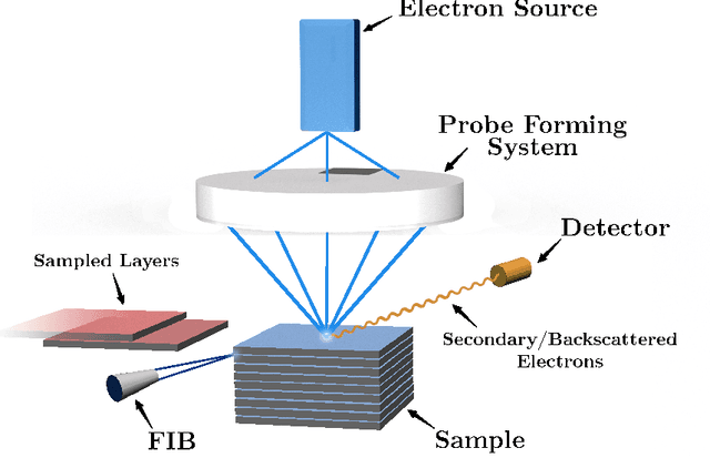 Figure 1 for A Targeted Sampling Strategy for Compressive Cryo Focused Ion Beam Scanning Electron Microscopy