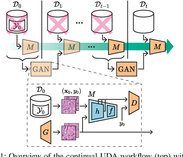 Figure 1 for Multi-scale Feature Alignment for Continual Learning of Unlabeled Domains