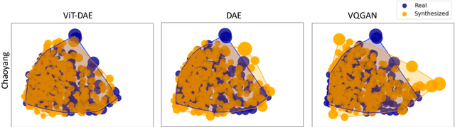 Figure 4 for ViT-DAE: Transformer-driven Diffusion Autoencoder for Histopathology Image Analysis