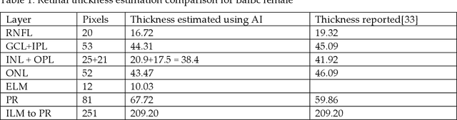 Figure 2 for AI pipeline for accurate retinal layer segmentation using OCT 3D images