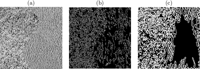 Figure 1 for Texture Edge detection by Patch consensus (TEP)