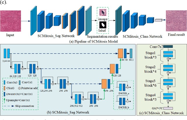 Figure 3 for A Novel Dataset and a Deep Learning Method for Mitosis Nuclei Segmentation and Classification