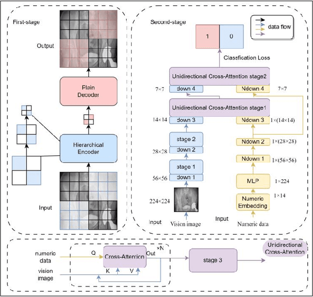 Figure 1 for A multimodal method based on cross-attention and convolution for postoperative infection diagnosis
