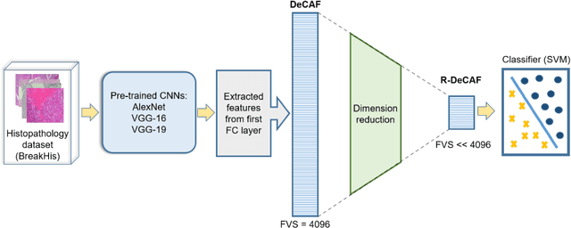 Figure 3 for Reduced Deep Convolutional Activation Features (R-DeCAF) in Histopathology Images to Improve the Classification Performance for Breast Cancer Diagnosis