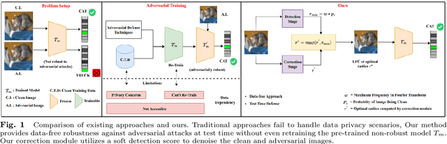 Figure 1 for DAD++: Improved Data-free Test Time Adversarial Defense