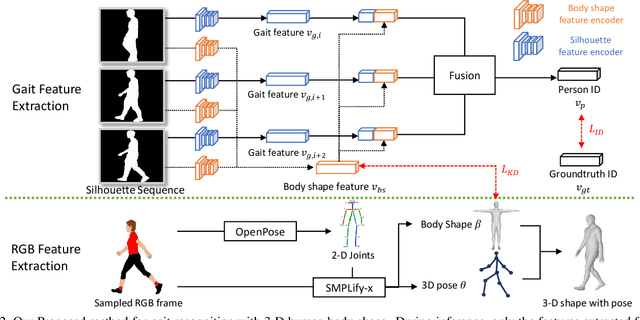 Figure 3 for Gait Recognition Using 3-D Human Body Shape Inference