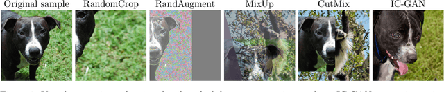 Figure 1 for Instance-Conditioned GAN Data Augmentation for Representation Learning