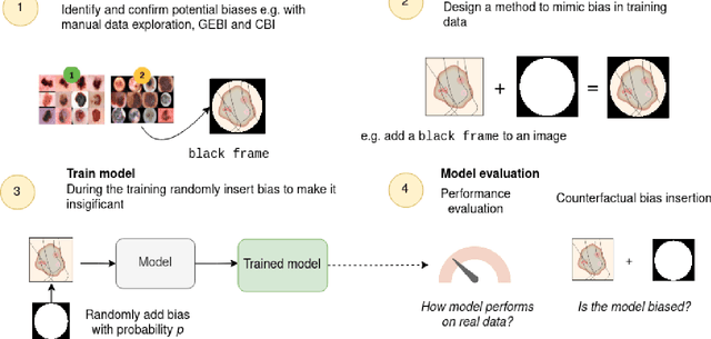 Figure 1 for Targeted Data Augmentation for bias mitigation