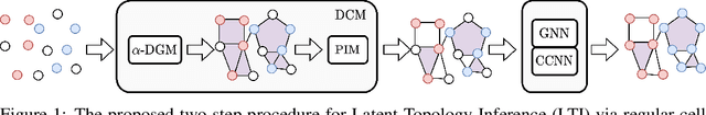 Figure 1 for From Latent Graph to Latent Topology Inference: Differentiable Cell Complex Module