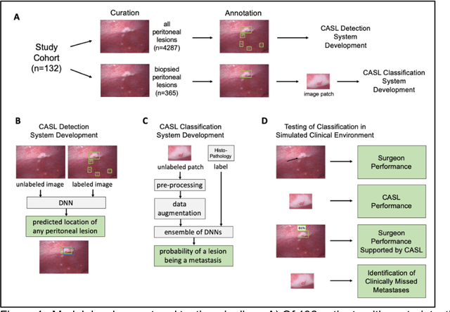 Figure 1 for Development of a Deep Learning System for Intra-Operative Identification of Cancer Metastases