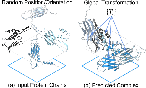 Figure 1 for SyNDock: N Rigid Protein Docking via Learnable Group Synchronization