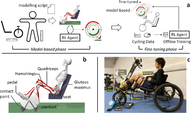 Figure 1 for Towards AI-controlled FES-restoration of movements: Learning cycling stimulation pattern with reinforcement learning