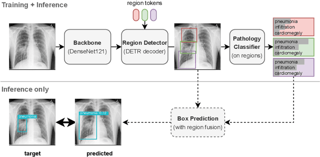 Figure 1 for Anatomy-Driven Pathology Detection on Chest X-rays