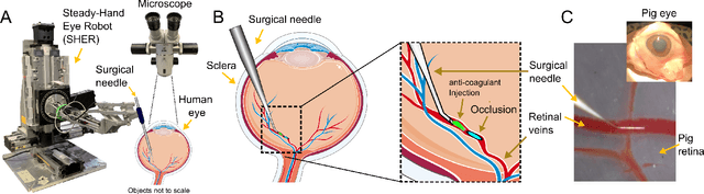 Figure 1 for Deep Learning Guided Autonomous Surgery: Guiding Small Needles into Sub-Millimeter Scale Blood Vessels