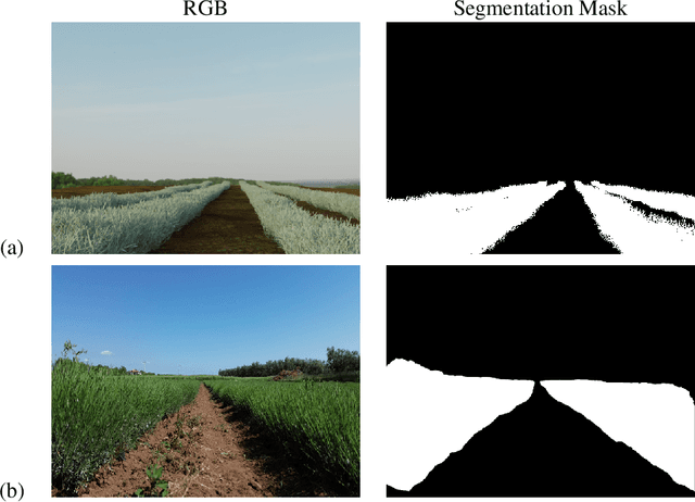 Figure 3 for Lavender Autonomous Navigation with Semantic Segmentation at the Edge