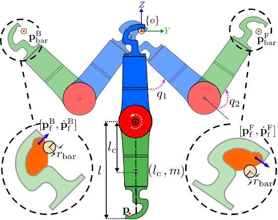 Figure 4 for AcroMonk: A Minimalist Underactuated Brachiating Robot