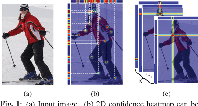 Figure 1 for X-HRNet: Towards Lightweight Human Pose Estimation with Spatially Unidimensional Self-Attention