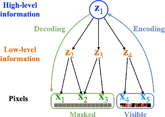 Figure 1 for Understanding Masked Autoencoders via Hierarchical Latent Variable Models