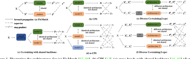 Figure 1 for Diverse Cotraining Makes Strong Semi-Supervised Segmentor