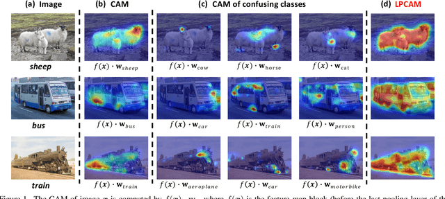 Figure 1 for Extracting Class Activation Maps from Non-Discriminative Features as well