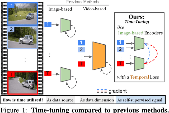 Figure 1 for Time Does Tell: Self-Supervised Time-Tuning of Dense Image Representations
