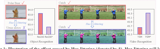 Figure 1 for Don't Judge by the Look: Towards Motion Coherent Video Representation