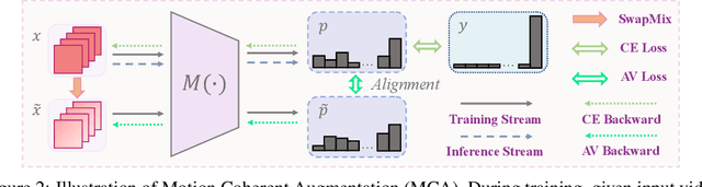 Figure 3 for Don't Judge by the Look: A Motion Coherent Augmentation for Video Recognition