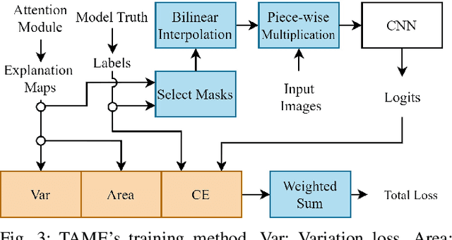 Figure 3 for TAME: Attention Mechanism Based Feature Fusion for Generating Explanation Maps of Convolutional Neural Networks