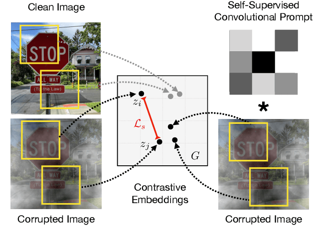 Figure 1 for Self-Supervised Convolutional Visual Prompts