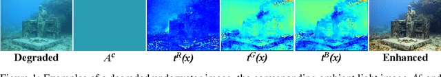 Figure 1 for Physics-Aware Semi-Supervised Underwater Image Enhancement