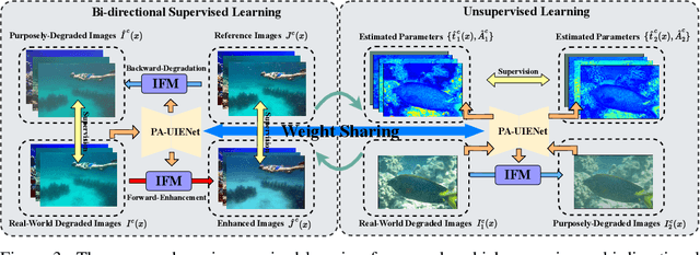 Figure 4 for Physics-Aware Semi-Supervised Underwater Image Enhancement