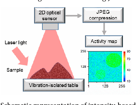 Figure 1 for Intensity-based dynamic speckle method using JPEG and JPEG2000 compression