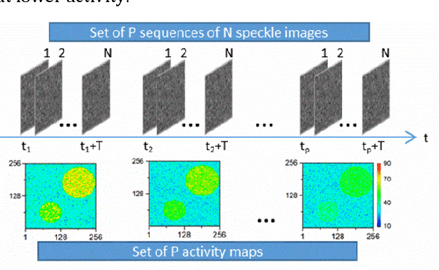 Figure 2 for Intensity-based dynamic speckle method using JPEG and JPEG2000 compression