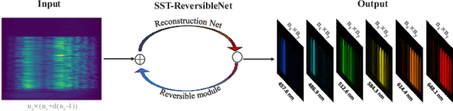 Figure 2 for SST-ReversibleNet: Reversible-prior-based Spectral-Spatial Transformer for Efficient Hyperspectral Image Reconstruction