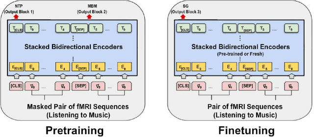 Figure 2 for Self-Supervised Pretraining on Paired Sequences of fMRI Data for Transfer Learning to Brain Decoding Tasks