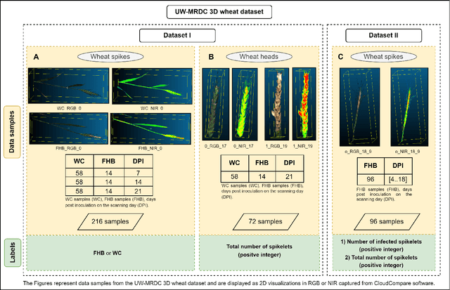 Figure 3 for Fusarium head blight detection, spikelet estimation, and severity assessment in wheat using 3D convolutional neural networks