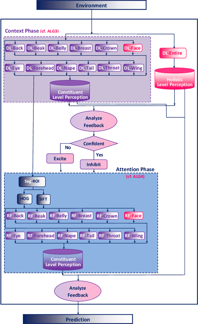 Figure 2 for Lateralized Learning for Multi-Class Visual Classification Tasks