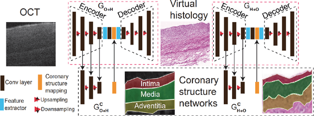 Figure 4 for Structural constrained virtual histology staining for human coronary imaging using deep learning