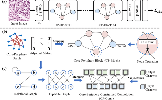 Figure 3 for CP-CNN: Core-Periphery Principle Guided Convolutional Neural Network