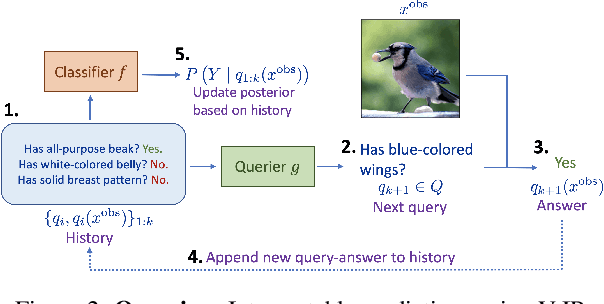 Figure 3 for Variational Information Pursuit for Interpretable Predictions