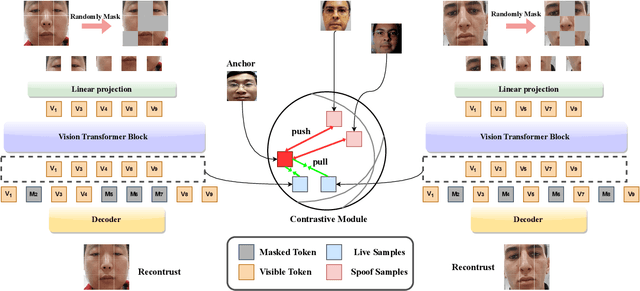 Figure 3 for MCAE: Masked Contrastive Autoencoder for Face Anti-Spoofing