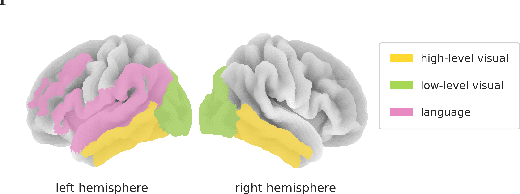 Figure 3 for Modality-Agnostic fMRI Decoding of Vision and Language
