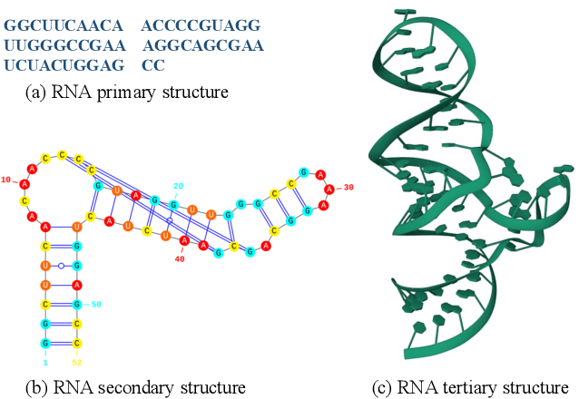 Figure 1 for Generative Tertiary Structure-based RNA Design